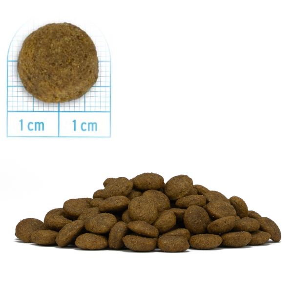 Bauzaar Forza10 MonoDiet Medium Adult Low Grain Hypoallergenic Cervo con patate Promozione temporanea