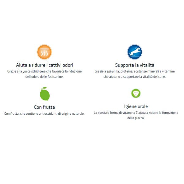 Bauzaar Natural Trainer Adult Mini con Manzo e Riso Super sconto