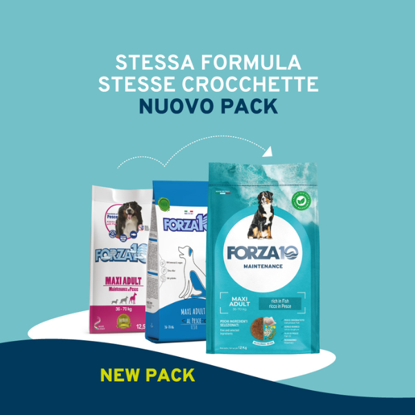 Bauzaar Forza10 Maintenance Maxi Adult al Pesce Officina