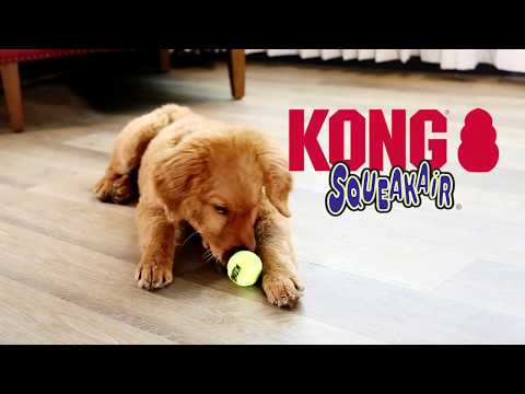Bauzaar Kong Air Squeaker Tennis Ball Esporta salva