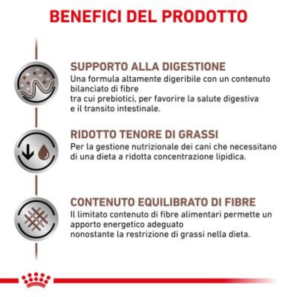 Bauzaar Royal Canin Gastrointestinal Low Fat Canine Sconti questo mese