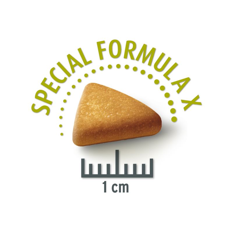 Zooplus Concept for Life Mini Sterilised Crocchette per cani Sottocosto