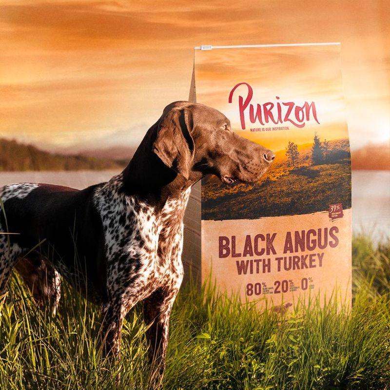 Zooplus 12 kg + 2 4 kg gratis Purizon Adult Crocchette Senza cereali per Cani In Vendita