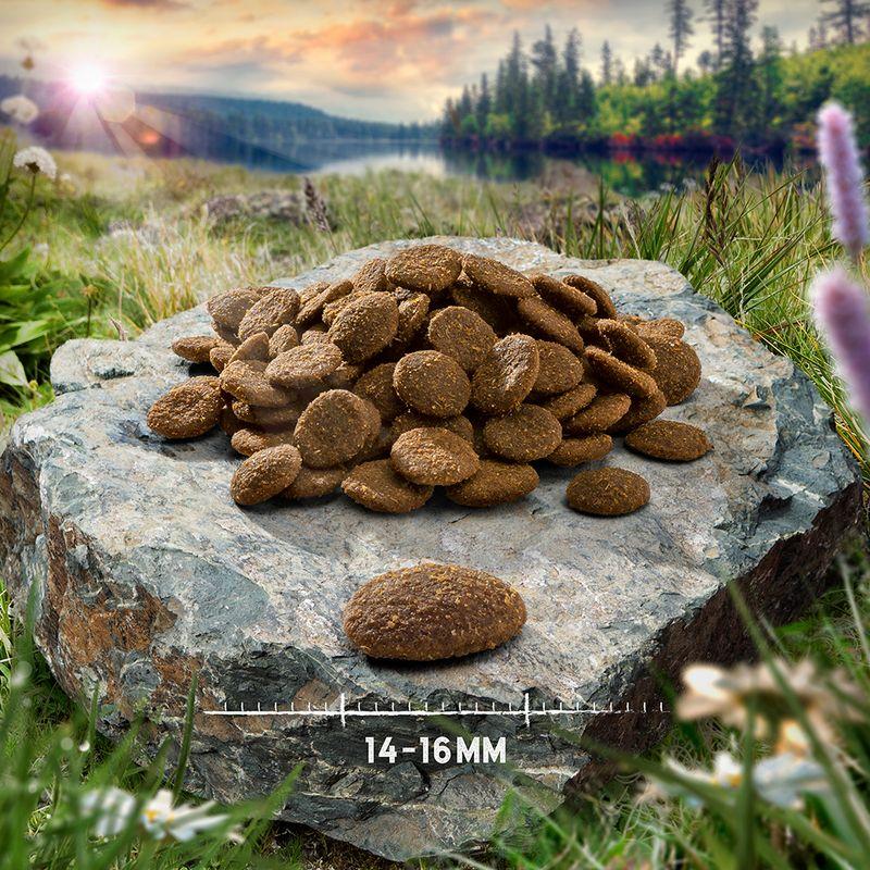 Zooplus 12 kg + 2 4 kg gratis Purizon Adult Crocchette Senza cereali per Cani In Vendita
