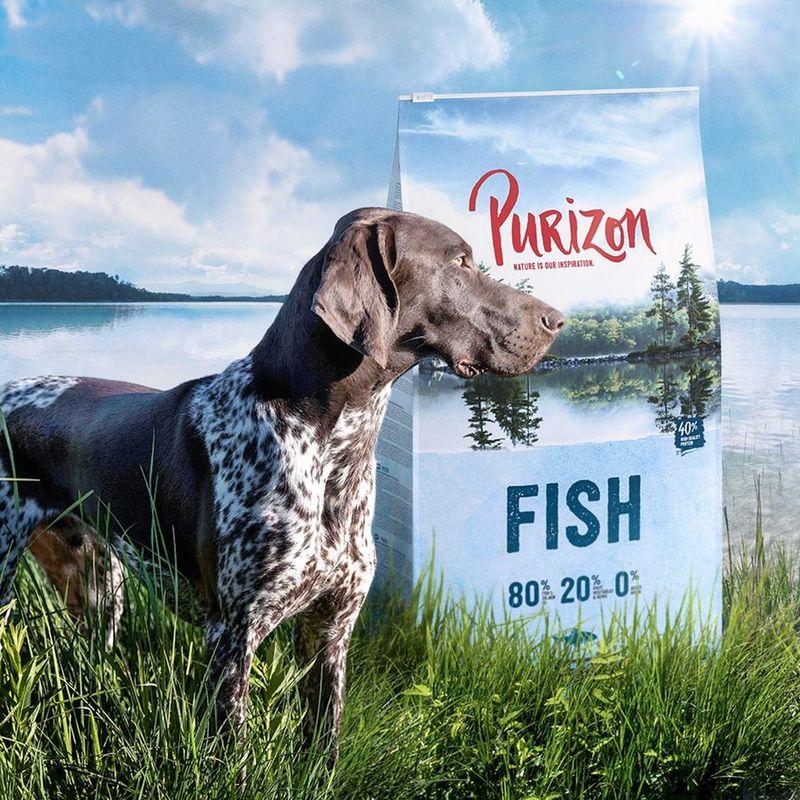 Zooplus Purizon Adult Pesce Crocchette senza cereali per cane Vendita Calda