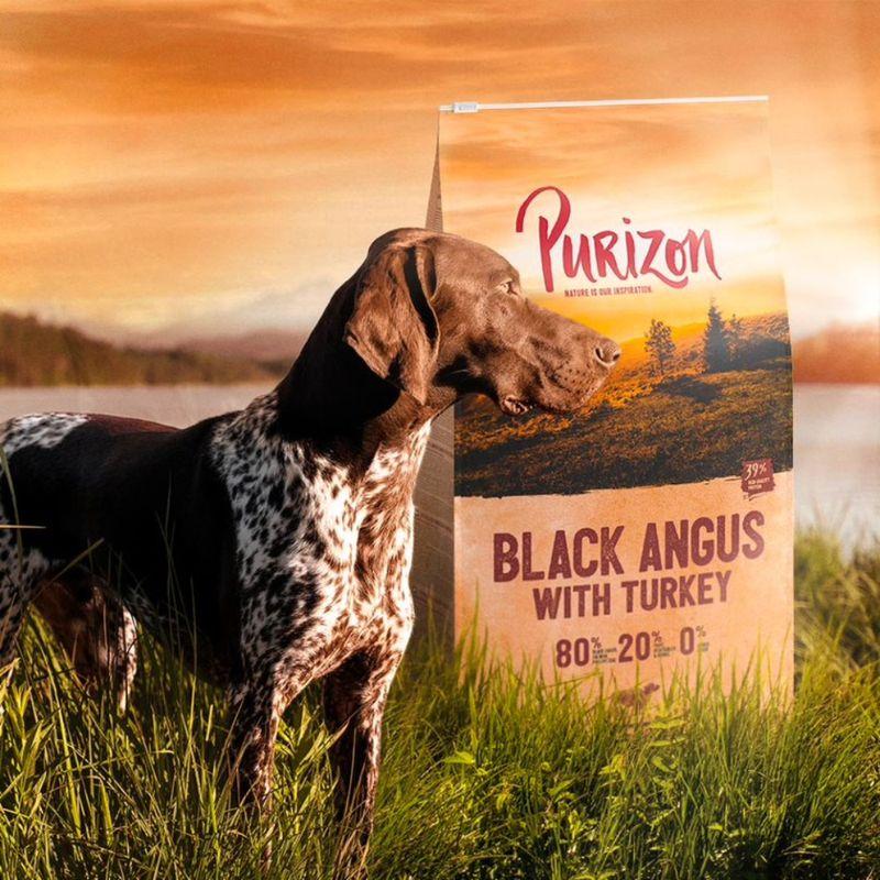 Zooplus Purizon Adult Black-Angus con Tacchino Crocchette senza cereali per cane Vendita Economica