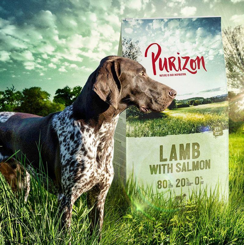 Zooplus Purizon Adult Agnello con Salmone Crocchette senza cereali per cane Negozio