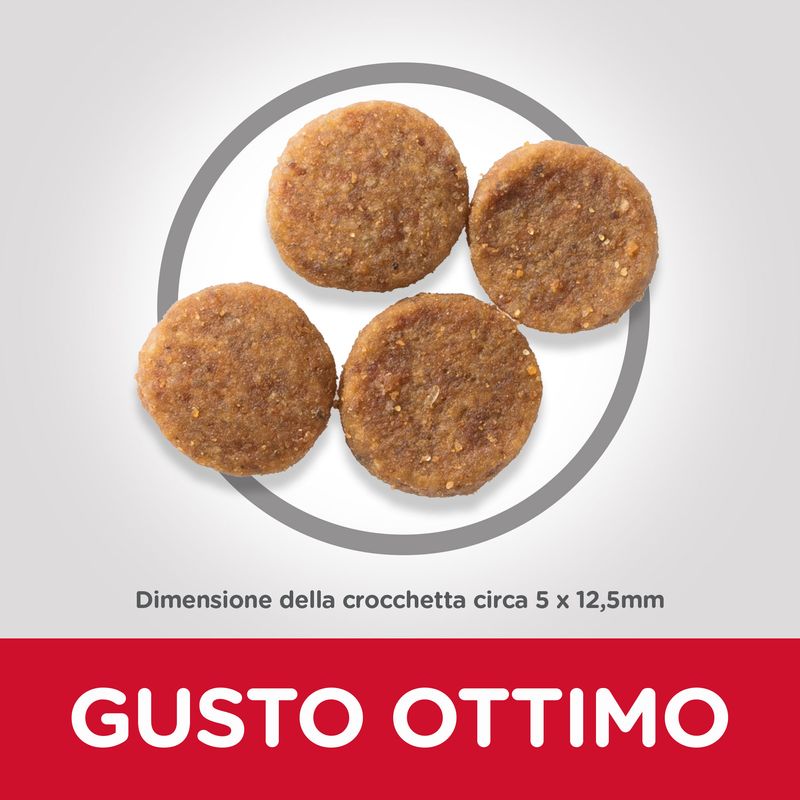 Zooplus Set prova misto Hill's Science Plan Adult con Pollo secco + umido In Saldo