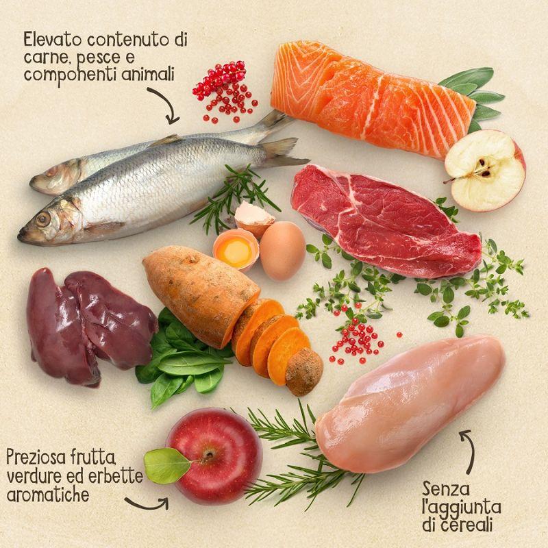 Zooplus senza cereali Nuova