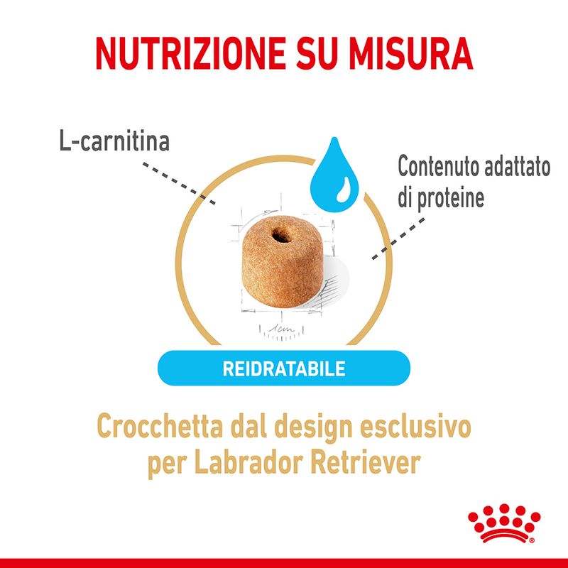 Zooplus Royal Canin Labrador Retriever Adult 5+ Crocchette per cane Promozione