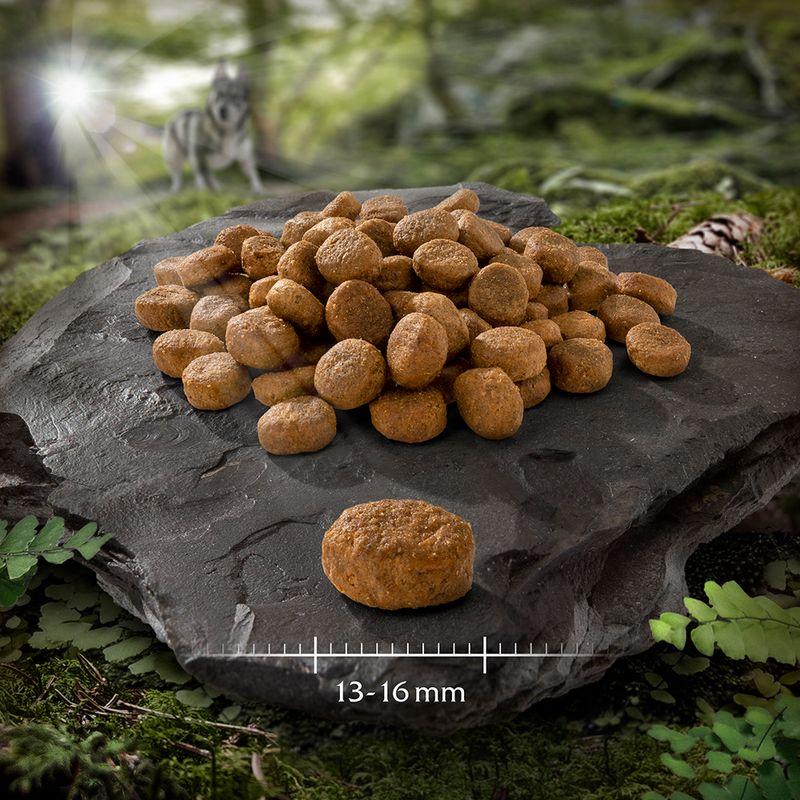 Zooplus Confezione prova Wolf of Wilderness Adult 100 g Crocchette per cane Online