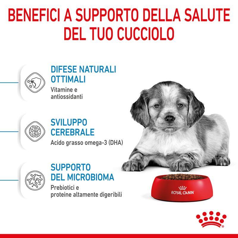 Zooplus Royal Canin Medium Puppy Crocchette per cane ACQUISTA ORA