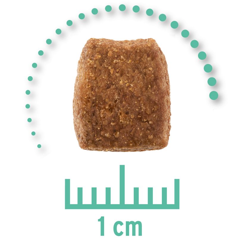 Zooplus Concept for Life Veterinary Diet Hypoallergenic Insect Crocchette per cani Offerta speciale
