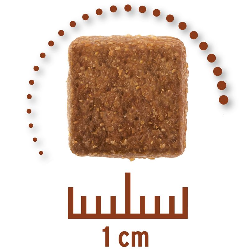 Zooplus Concept for Life Veterinary Diet Gastro Intestinal Crocchette per cane Grande vendita