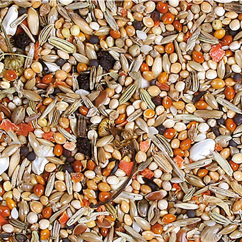 Zooplus JR Farm Individual per calopsiti Grandi sconti