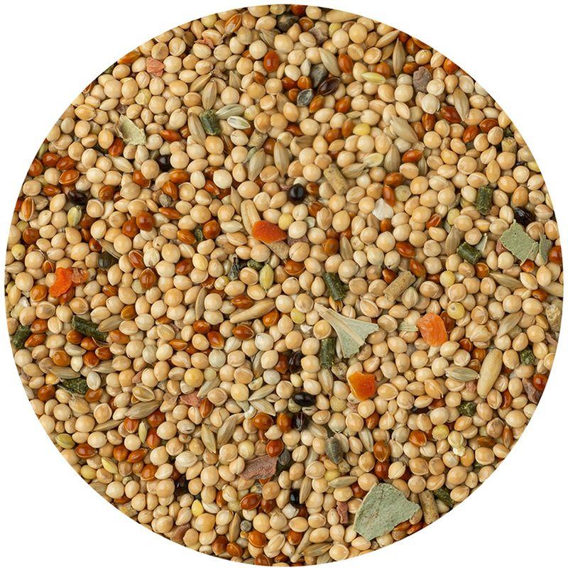 Zooplus Vitakraft Menù Pappagallini Mangime per uccelli Bestseller