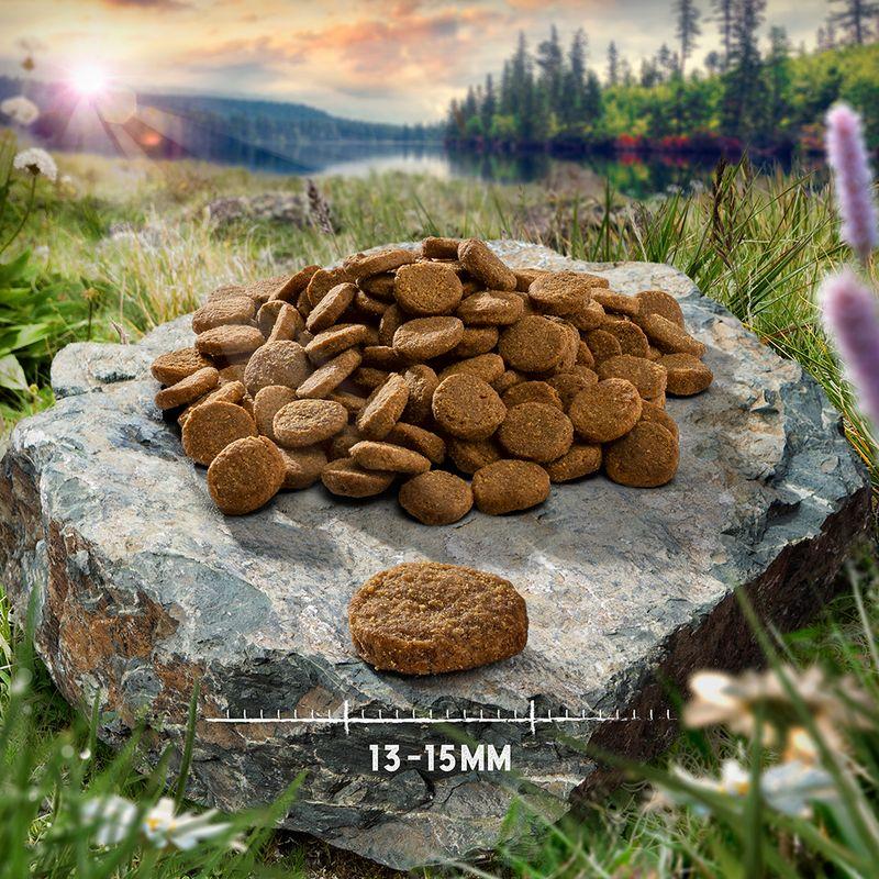 Zooplus Purizon Single Meat Adult Pollo con Zucca e Fiori di camomilla per cani ACQUISTA ORA