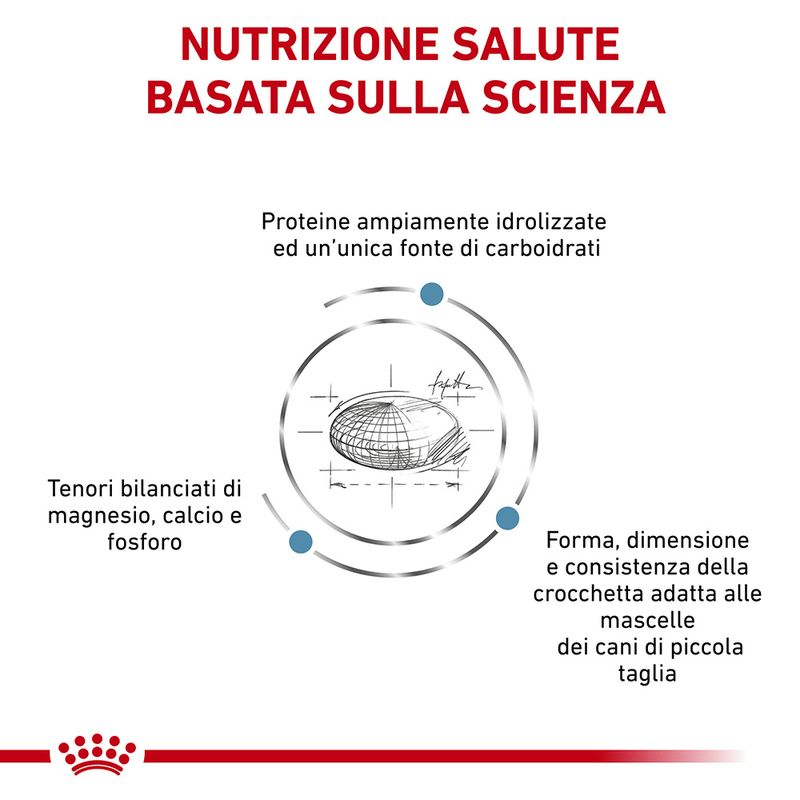 Zooplus Royal Canin Hypoallergenic Small Dogs Canine Veterinary Crocchette per cane Ultimo giorno