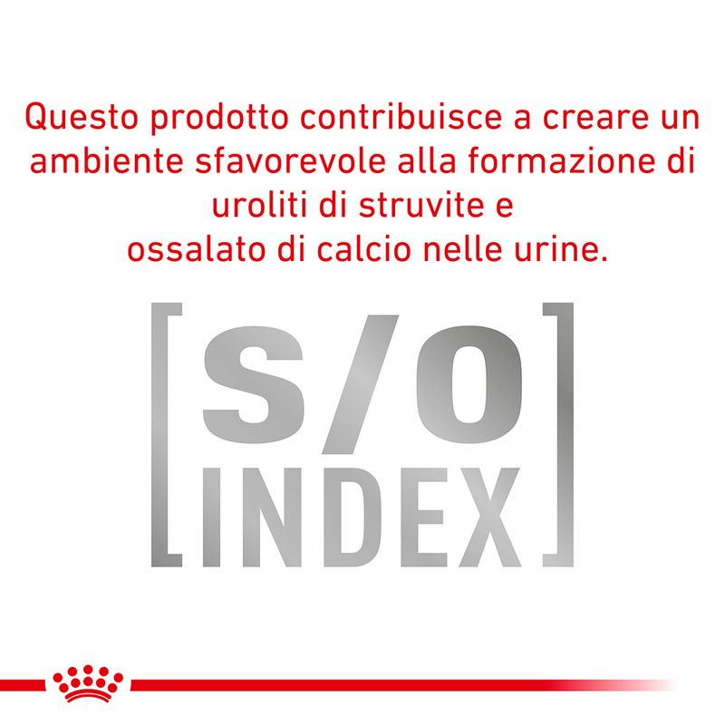 Zooplus Royal Canin Hypoallergenic Small Dogs Canine Veterinary Crocchette per cane Ultimo giorno