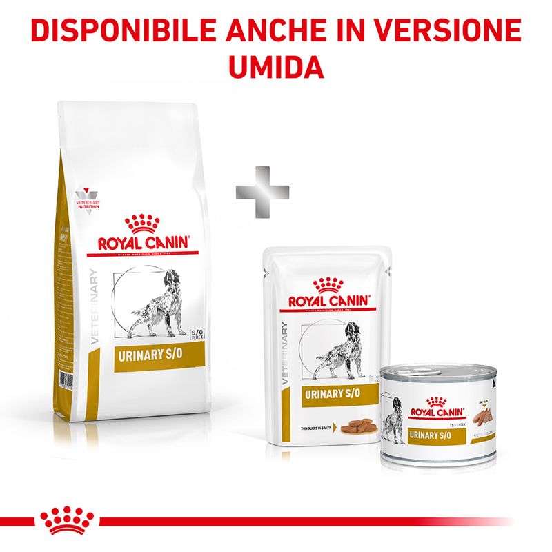 Zooplus Royal Canin Urinary S/O Veterinary Crocchette cane Sostegno trimestrale