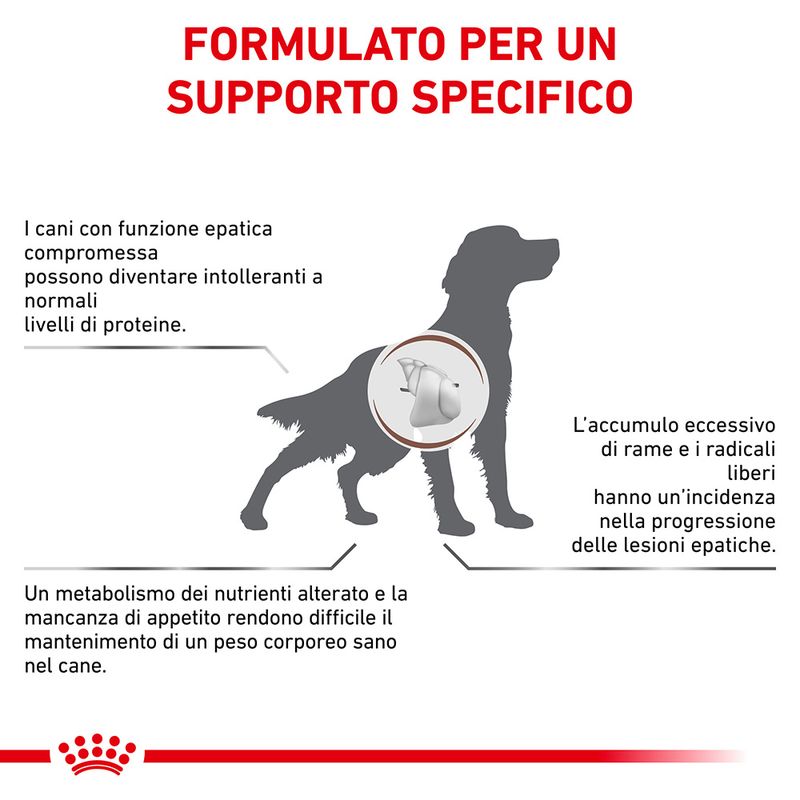 Zooplus Royal Canin Hepatic Canine Veterinary Crocchette per cane Discount Store per i nuovi prodotti
