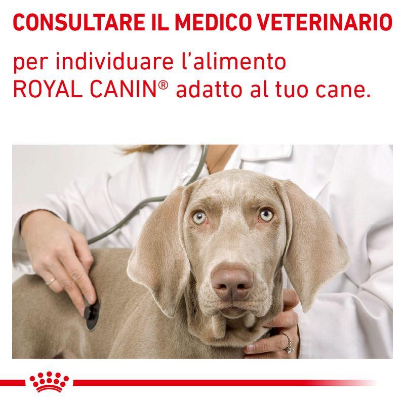 Zooplus Royal Canin Hypoallergenic Moderate Calorie Canine Veterinary Crocchette per cane Solo un giorno rimasto