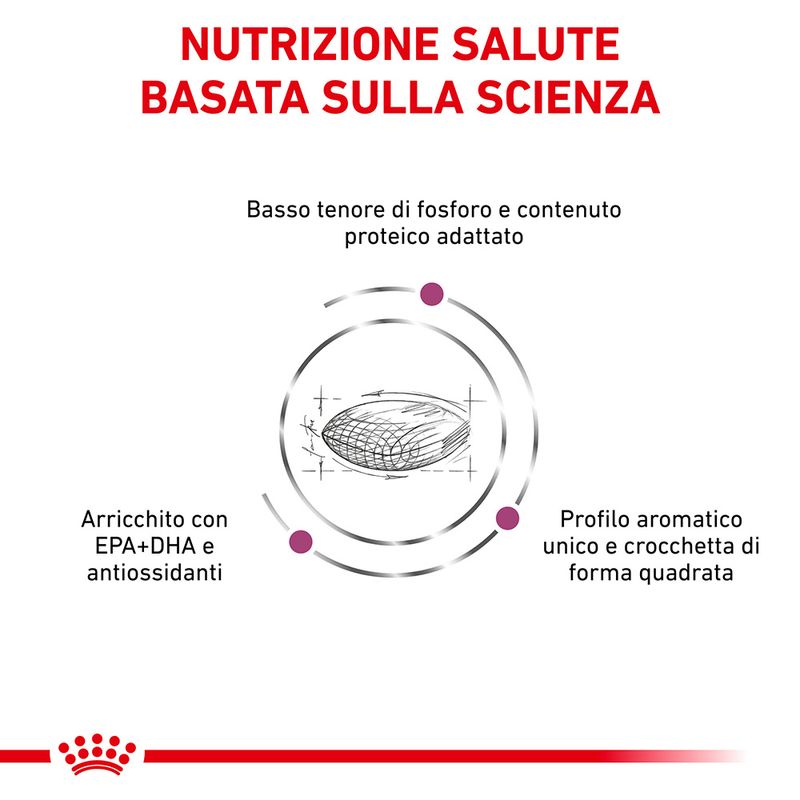 Zooplus Royal Canin Renal Canine Veterinary Crocchette per cane Super sconto