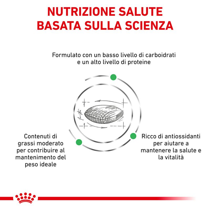 Zooplus Royal Canin Diabetic Veterinary crocchette cane Enormi sconti