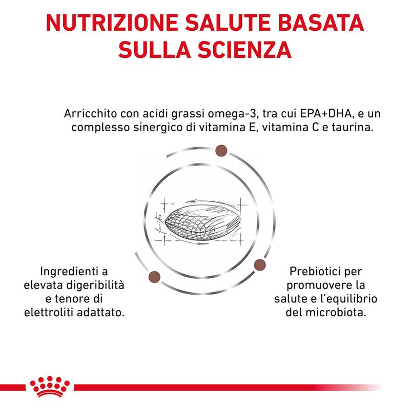 Zooplus Royal Canin Veterinary Canine Gastrointestinal Low Fat Small Dog 50% di sconto con spedizione gratuita