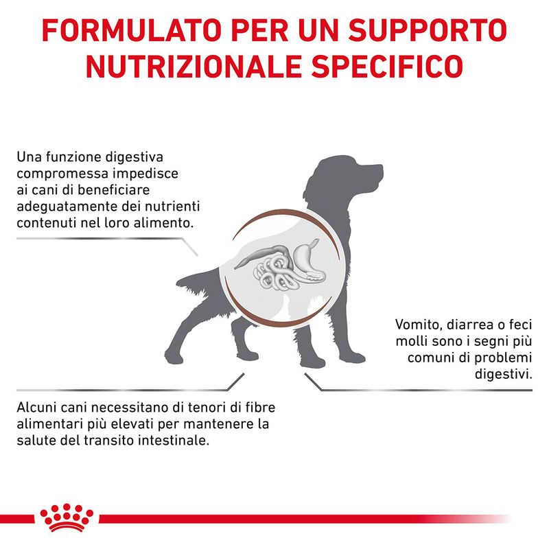 Zooplus Royal Canin Gastrointestinal High Fibre Veterinary Crocchette cane Officina