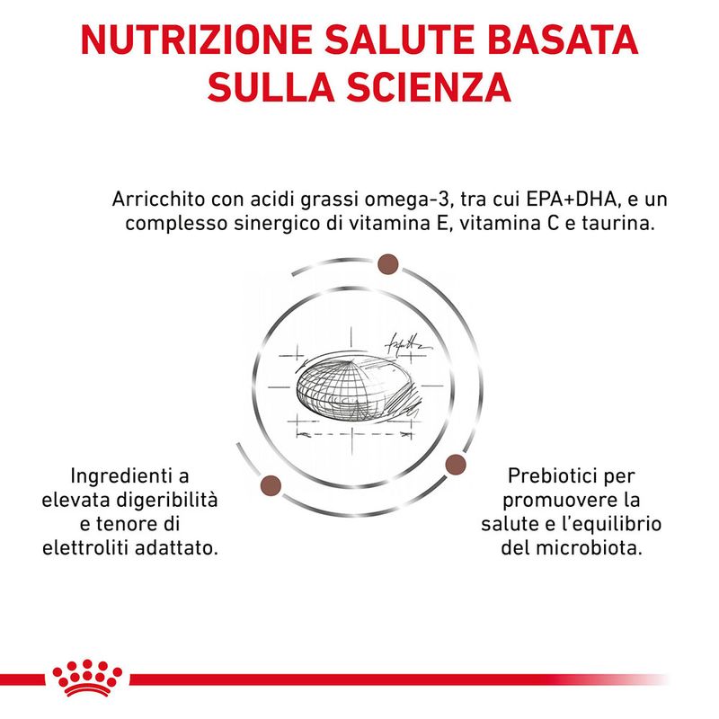 Zooplus Royal Canin Gastrointestinal High Fibre Veterinary Crocchette cane Officina