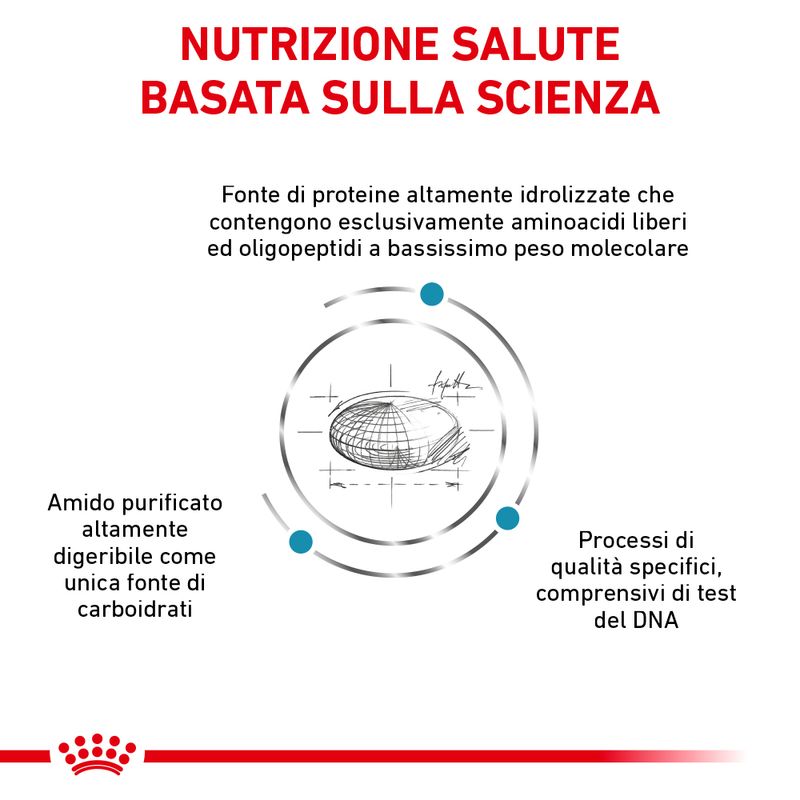 Zooplus Royal Canin Anallergenic Canine Small Dog Veterinary Crocchette per cane Limitato a 3 giorni