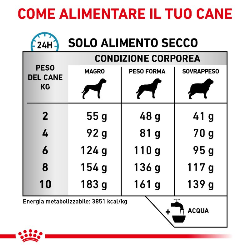 Zooplus Royal Canin Anallergenic Canine Small Dog Veterinary Crocchette per cane Limitato a 3 giorni