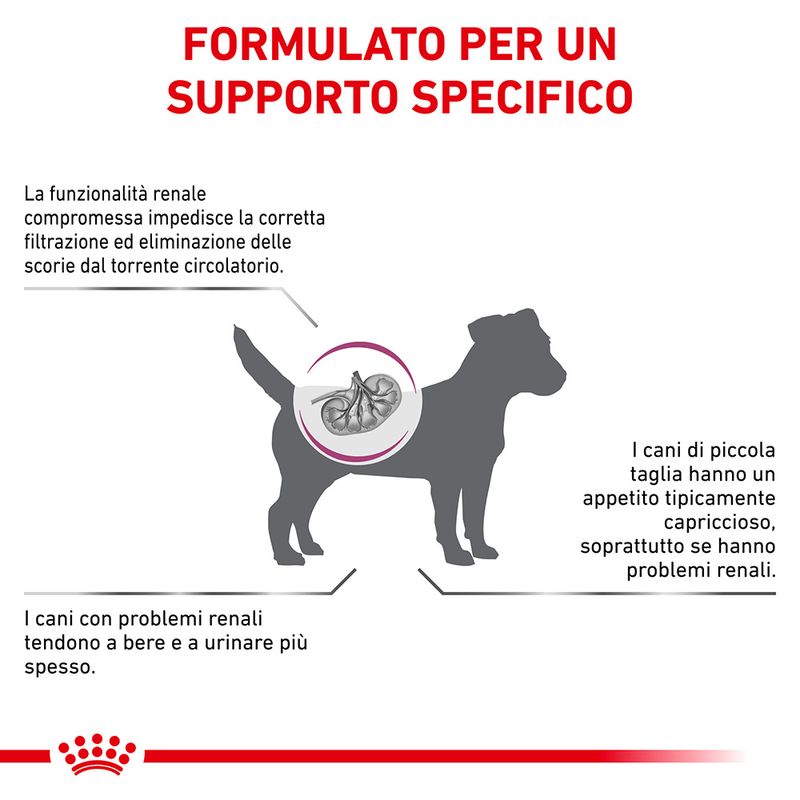 Zooplus Royal Canin Renal Small Canine Veterinary Crocchette per cani Esporta salva