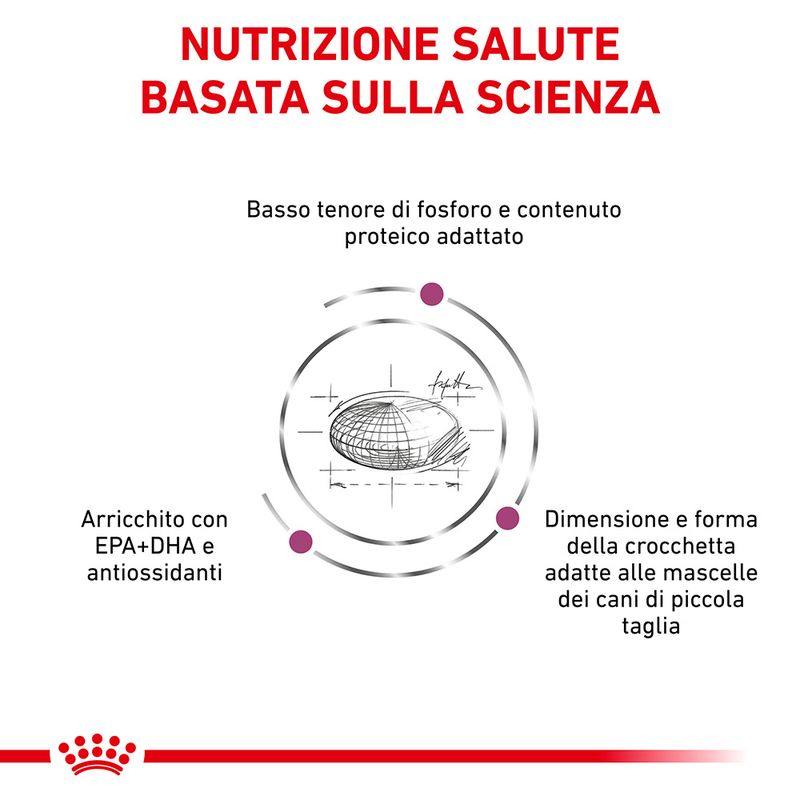 Zooplus Royal Canin Renal Small Canine Veterinary Crocchette per cani Esporta salva
