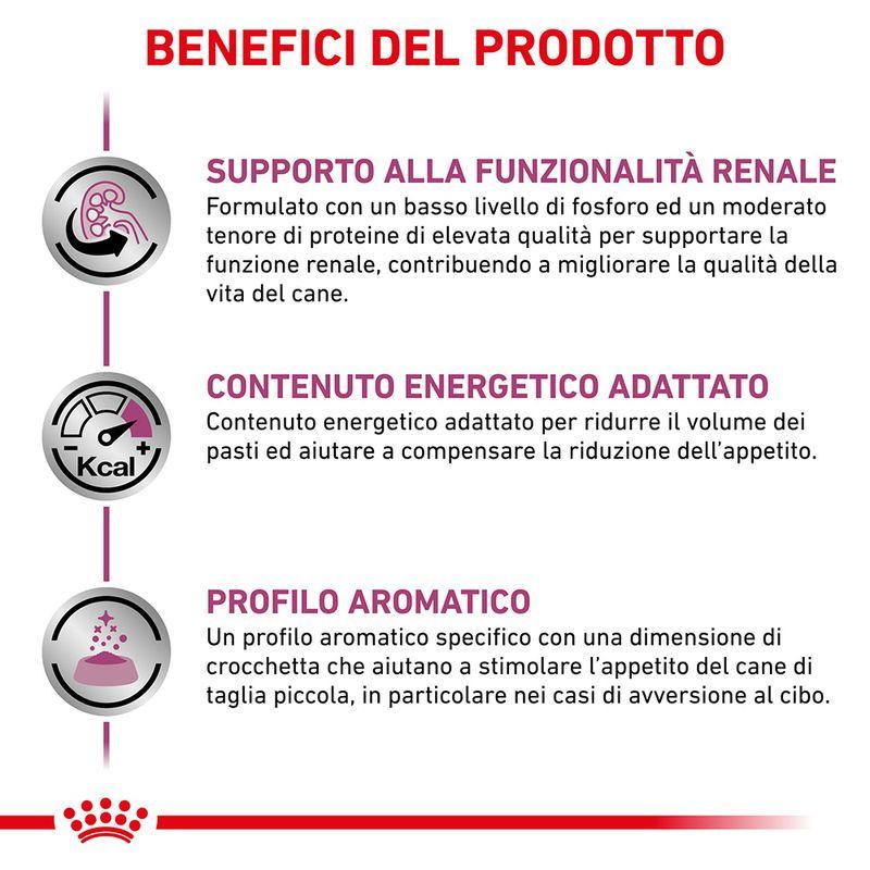 Zooplus Royal Canin Renal Small Canine Veterinary Crocchette per cani Esporta salva