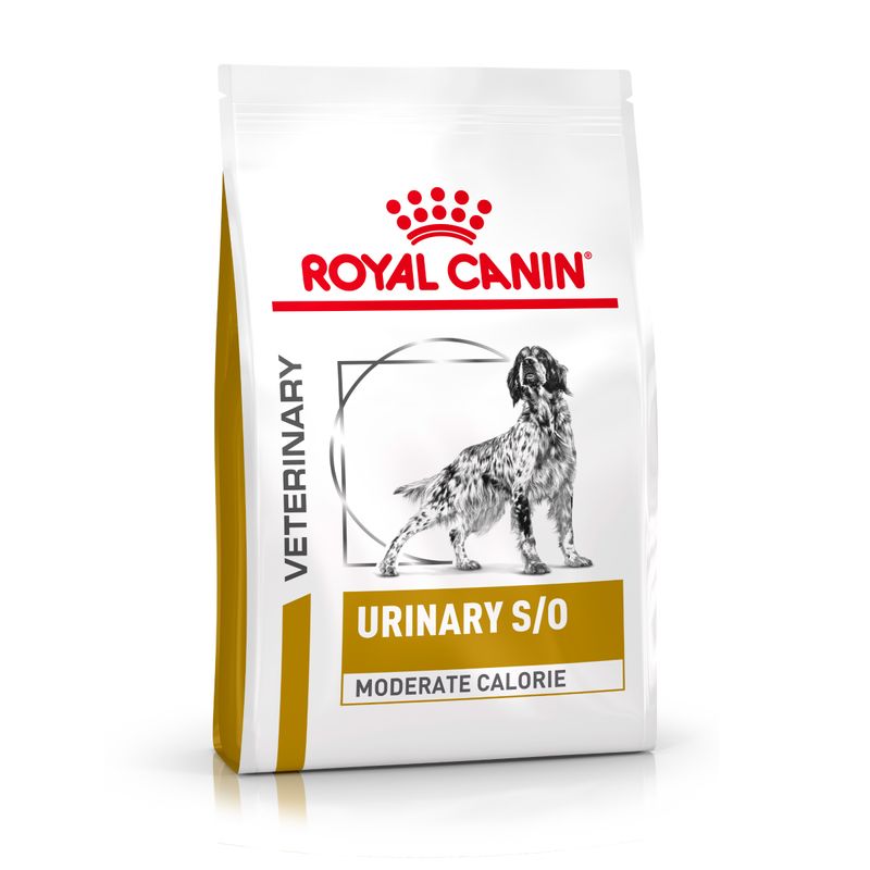 Zooplus Royal Canin Urinary S/O Moderate Calorie Canine Veterinary Crocchette cane Black Friday Prezzi