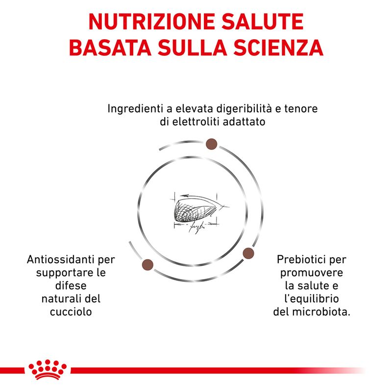 Zooplus Royal Canin Gastrointestinal Puppy Veterinary Crocchette per cane In vendita