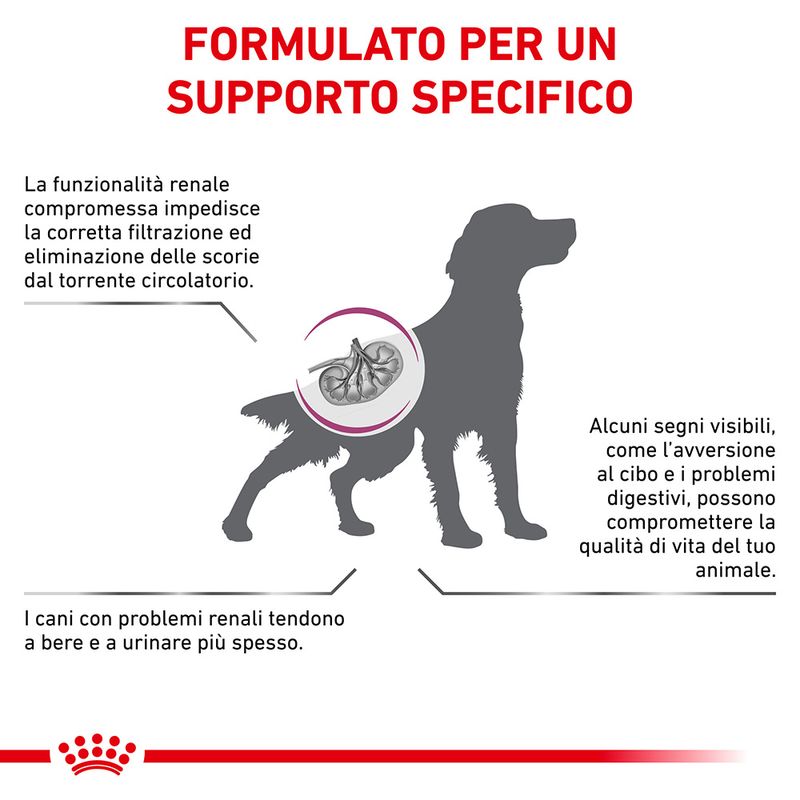 Zooplus Royal Canin Renal Special Canine Veterinary Crocchette per cani 50% di sconto per tempo limitato
