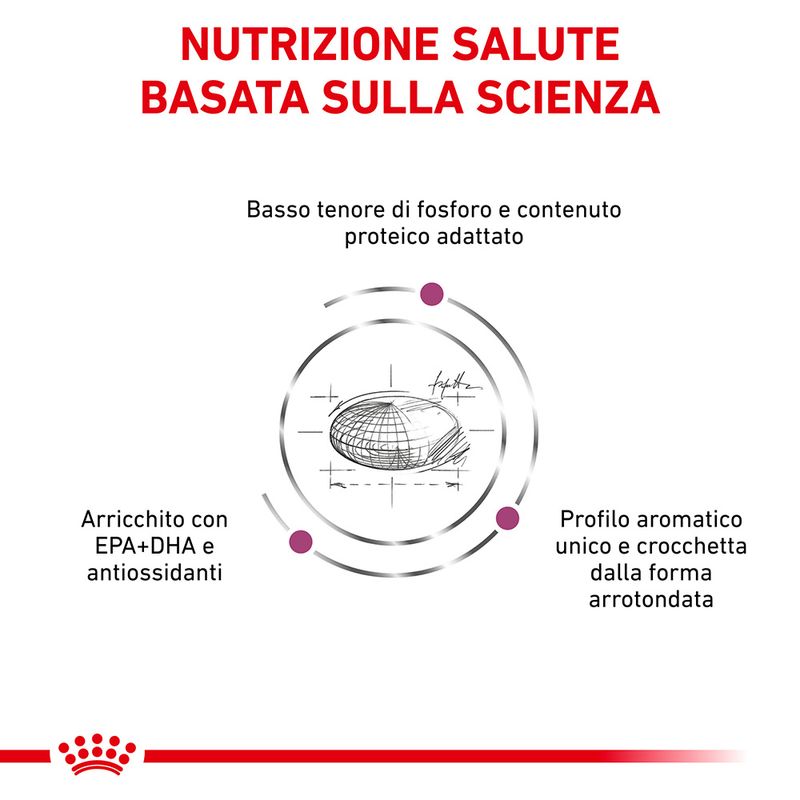 Zooplus Royal Canin Renal Special Canine Veterinary Crocchette per cani 50% di sconto per tempo limitato