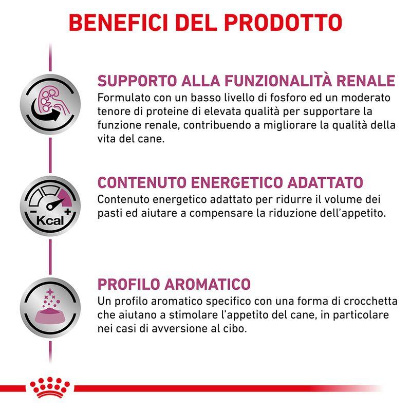 Zooplus Royal Canin Renal Special Canine Veterinary Crocchette per cani 50% di sconto per tempo limitato