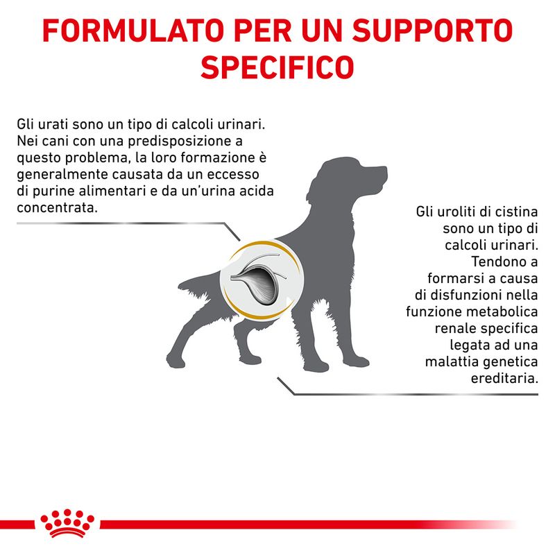 Zooplus Royal Canin Urinary U/C Canine Veterinary Crocchette per cane Sconti questo mese