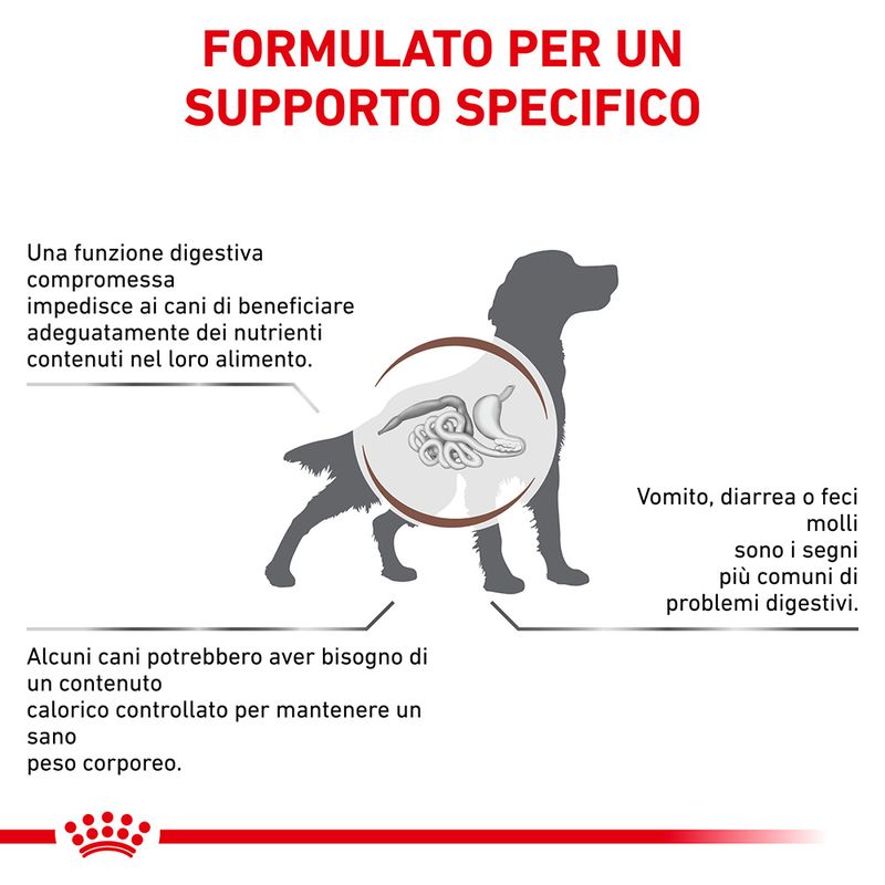 Zooplus Royal Canin Gastrointestinal Moderate Calorie Canine Veterinary Crocchette per cani 2025