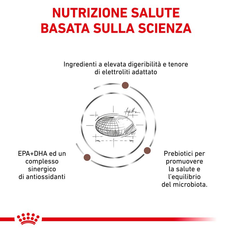 Zooplus Royal Canin Gastrointestinal Moderate Calorie Canine Veterinary Crocchette per cani 2025