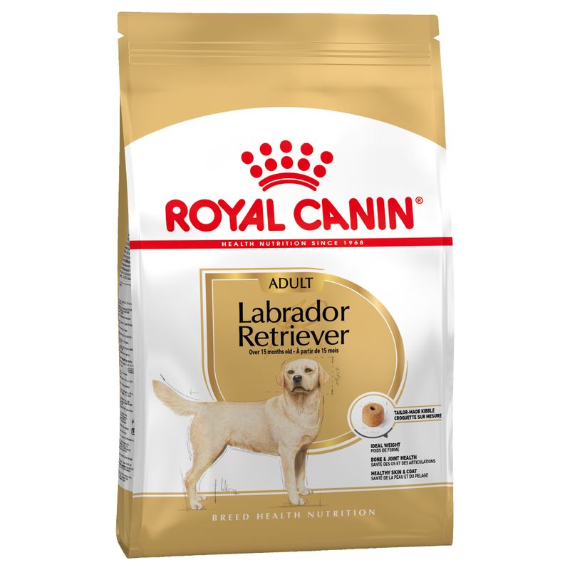 Zooplus Royal Canin Labrador Retriever Adult Crocchette cane Italia