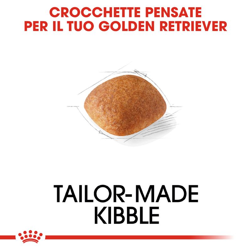 Zooplus Royal Canin Golden Retriever Adult Crocchette per cane Nuovo