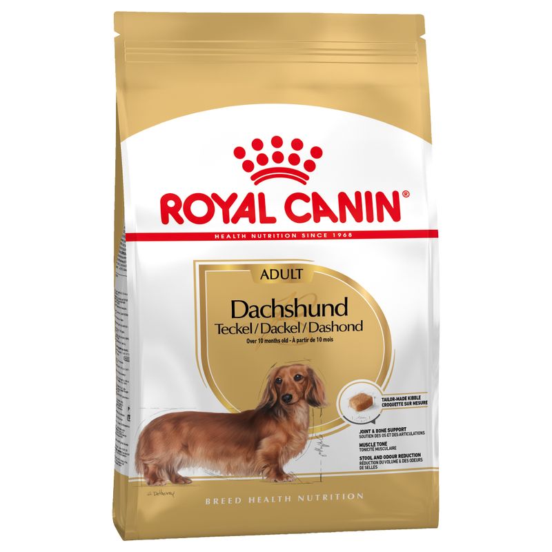 Zooplus Royal Canin Bassotto (Dachshund) Adult Crocchette Vendita