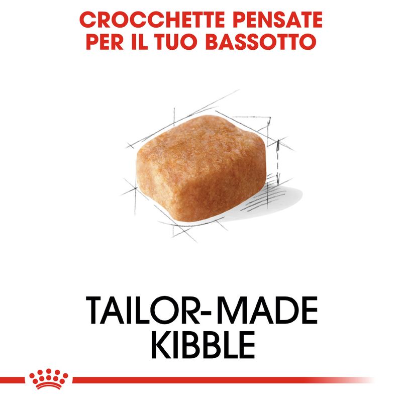 Zooplus Royal Canin Bassotto (Dachshund) Adult Crocchette Vendita