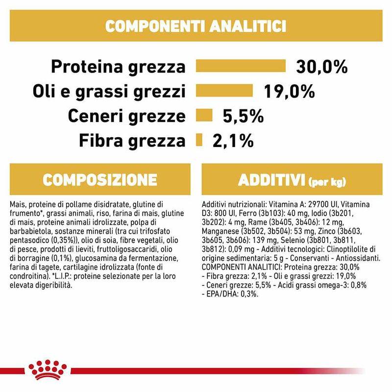 Zooplus Royal Canin Barboncino (Poodle) Adult Crocchette per cane Promozione