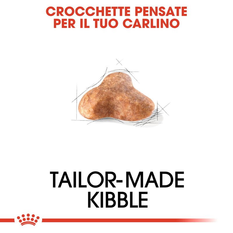 Zooplus Royal Canin Carlino (Pug) Adult Crocchette Spedizione Gratuita